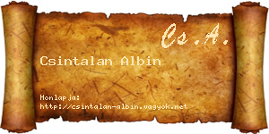 Csintalan Albin névjegykártya